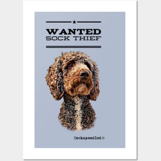 Cockapoo / Doodle Dog Sock Thief Posters and Art